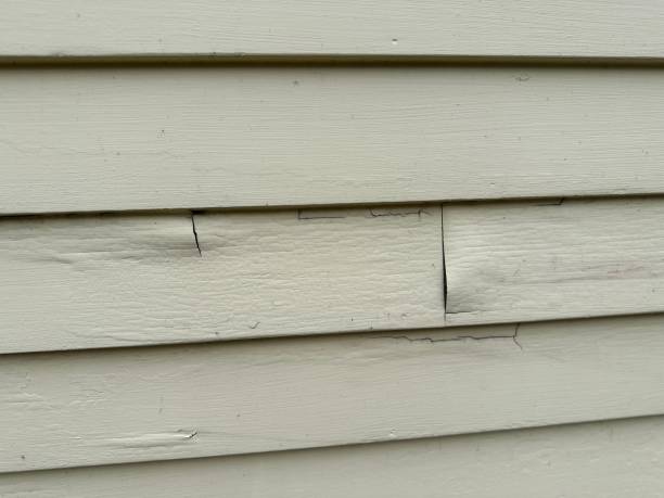 Affordable siding repair and maintenance services in Peshtigo, WI